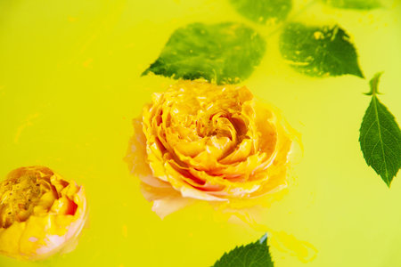 Rose flowers in bath with yellow water