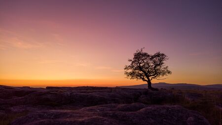 A tree sits on Winskill Stones above settle , North Yorkshireの写真素材
