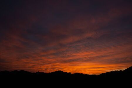 Sunset over Alpine Trees near Morzine, France.の写真素材