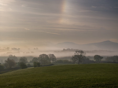 Scenic Misty Morning Landscape With Sunrise Over Trees and Fields