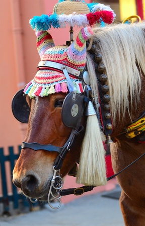 a horse in traditional Savoy harness, Chamonix, France の写真素材