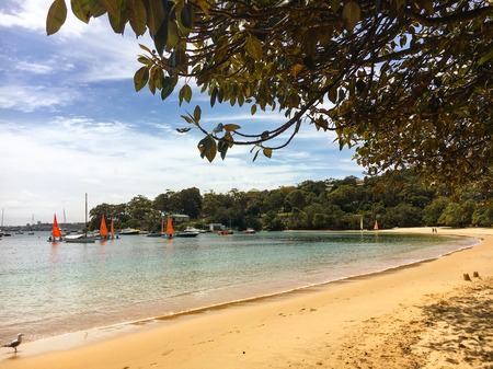 Balmoral Beach shoreline with boatsの写真素材
