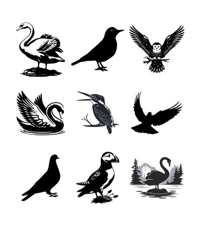 birds silhouette vector setのイラスト素材
