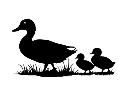Mother duck with ducklings, Vector illustrationのイラスト素材