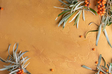 Sea buckthorn berries and sea buckthorn jam jarの写真素材