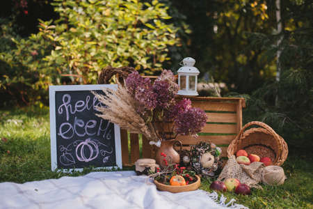 Concept of autumn festive decoration for Thanksgiving day in the gardenの写真素材