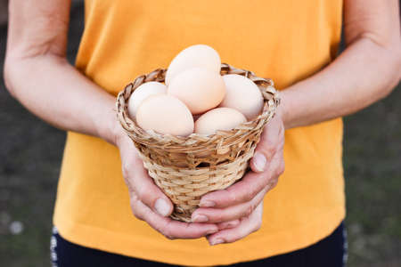 womans hands in orange t-shirt holding a basket with eggs, concept of small business, farmingの写真素材