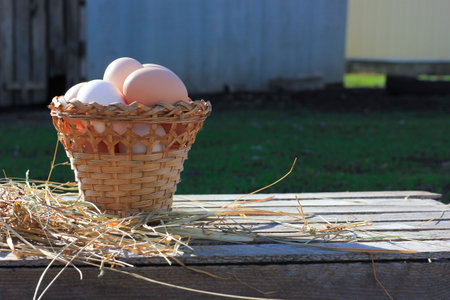 chicken eggs in a wicker basket on a wooden background with a white napkin beside, healthy ecological food, farming.の写真素材