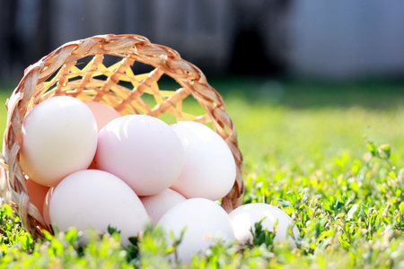 eggs spilled out of the basket onto the grass against a background of green grass and bright...