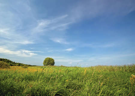 countrysideの写真素材