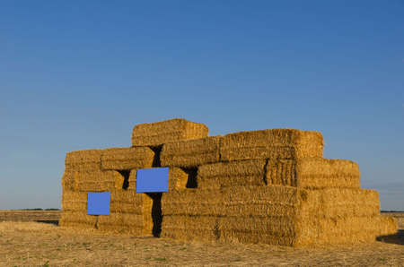 Ukraine, Kharkiv region, field, August 08, 2020 pressed straw briquettes folded in PMramid there is a place for inscriptionsの写真素材