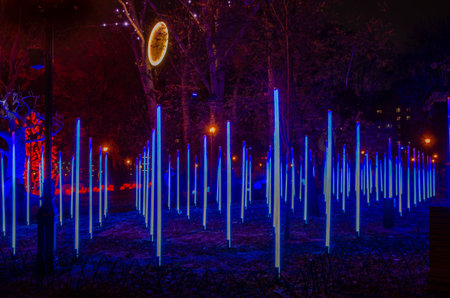 illumination in the park, illumination of various installations, fantasy on the theme of light