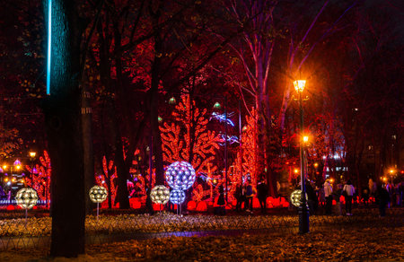 illumination in the park, illumination of various installations, fantasy on the theme of light