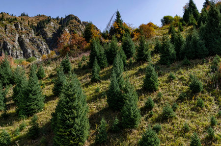 the slopes of the Tien Shan mountains the Zailiysky Alatau ridge near Almaty the Shimbulak ski...
