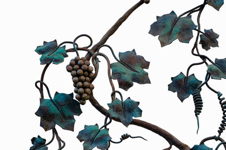 a vine with grapes on a white background a metal grate in a public place is not a subject requiring releaseの写真素材