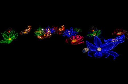Illustration of a fractal design with a butterfly and a flowerの写真素材