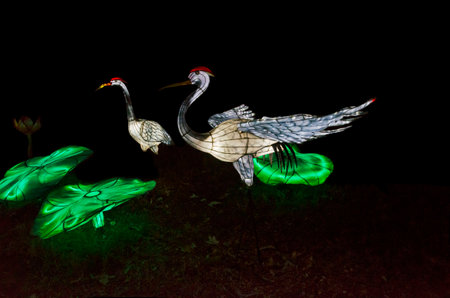Three cranes on a black background in the park, Thailand.の写真素材
