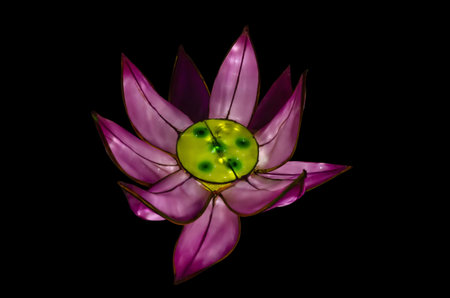 Abstract fractal flower on black background. fantasy fractal texture. digital art. 3D rendering.の写真素材