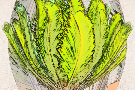 USA California Los Angeles Playa Vista May 7 2023 small palm tree in a flowerpot.の写真素材
