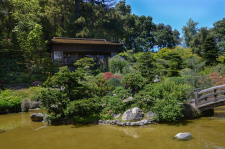 USA California - May 2023: Hakone Estate and Gardens in Saratoga shore of a pond with diverse vegetation and a beautiful bridge and a Japanese houseのeditorial素材