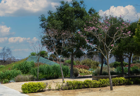 USA California Los Angeles Playa Vista May 8 2023 central parkの写真素材