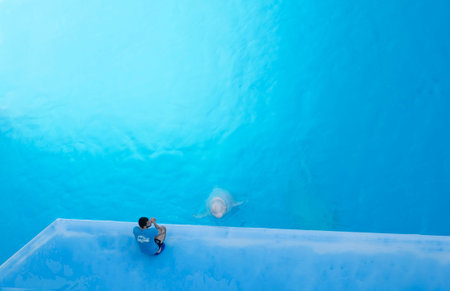 Ukraine, Kharkiv - June 18, 2023: Dolphinarium Nemo man and a dolphin on a blue background
