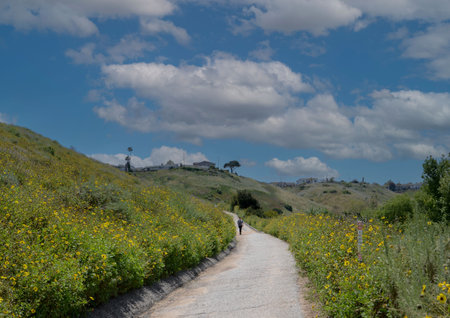 USA California Los Angeles Playa Vista May 8 2023 walking path in the hills.のeditorial素材