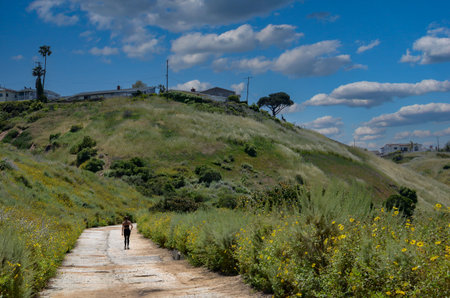 USA California Los Angeles Playa Vista May 8 2023 walking path in the hillsのeditorial素材