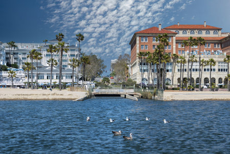 USA California Los Angeles Santa Monica District May 13, 2023 ocean shore with beautiful houses, birds floating on the water and sky with clouds.の写真素材