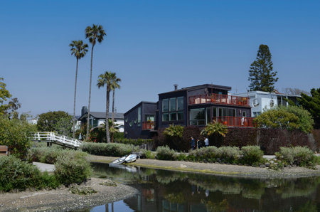Canals of Venice in California with amazing houses, boats, palm trees on the shoreの写真素材