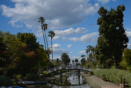 Canals of Venice in California with amazing houses, boats, palm trees on the shoreの写真素材