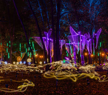 New Year's park illuminated by magical light installations. Multi-colored lights create a fantastic New Year's atmosphere of mystery and a sense of a fairy taleの写真素材