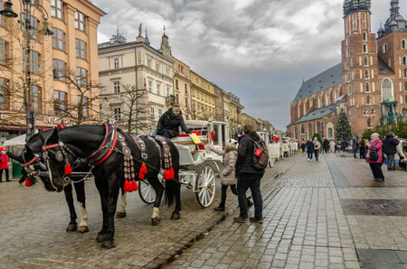 Beautiful horses with carriages against the backdrop of historical buildings in the city center on a...