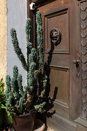 entrance wooden door to the street in an old style near the door there is a beautiful big cactus.の写真素材