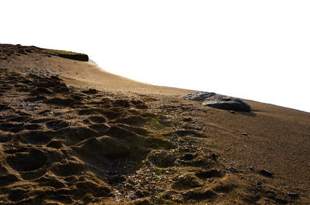 sandy beach good sand structure isolated transparent background.