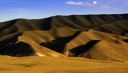 Dramatic rolling hills in golden tones with deep shadows at sunset. A minimal and peaceful...