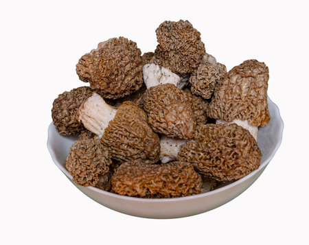 Fresh morel mushrooms in a bowl isolated on transparent background, gourmet edible fungi harvest.