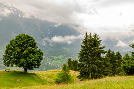 Mountain peaks covered in snow and clouds with green forest trees in foreground, dramatic skyの写真素材