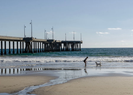 Venice Beach, California, America Ocean pier with waves and sandy shore, people fishing and sailboat visible on the horizon line A girl plays with a dog, running along the beach and splashing water on the dogの写真素材