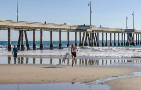 Venice Beach, California, America Ocean pier with waves and sandy shore, people fishing and sailboat visible on the horizon line A girl plays with a dog, running along the beach and splashing water on the dogの写真素材