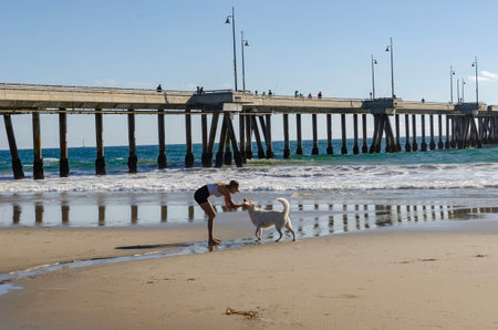 Venice Beach, California, America Ocean pier with waves and sandy shore, people fishing and sailboat visible on the horizon line A girl plays with a dog, running along the beach and splashing water on the dogの写真素材