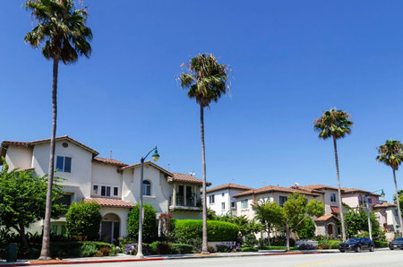 California Los Angeles area Rlya Vista August 18, 2025 well-maintained streets with beautiful modern houses palm trees and flowering treesの写真素材
