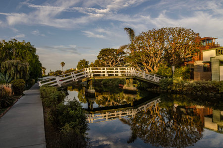 America, Los Angeles, Venice, White Wooden Bridge Over Calm Canal with Palm Trees and Residential...