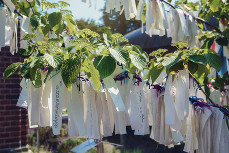 May 12, 2016,  a wishing tree in frontof the Peace Palace in The Hague, Netherlands.のeditorial素材