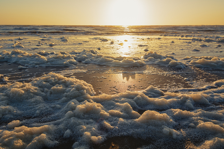 Sea foam during sunset on the shores of the North Sea.の写真素材