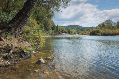 View of the mountain river from the shore.