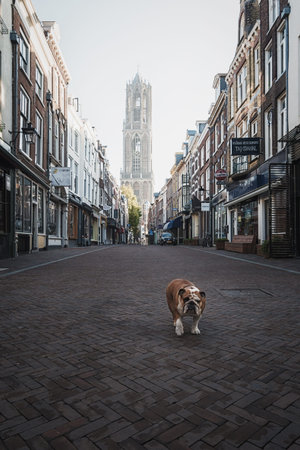Utrecht, Netherlands - October 23, 2016: The shopping street Saddle Street in the old town of...
