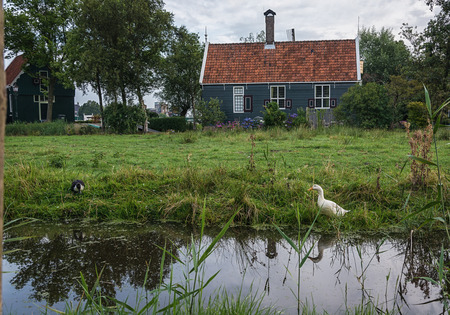 A small house with a slate roof and a small garden with ducks on the canal gardens.の写真素材