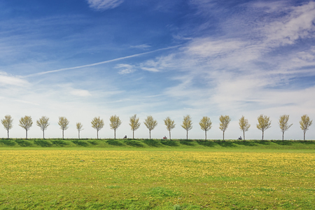 Motorcyclists on a dike with a row of treesin the Beemster Polder,  a cultural landscape located north of Amsterdam, dating from the early 17th century, and an exceptional example of reclaimed land in the Netherlandsのeditorial素材