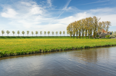 Dike with a row of trees and farmhouse in the Beemster Polder,  a cultural landscape located north of Amsterdam, dating from the early 17th century, and an exceptional example of reclaimed land in the Netherlandsのeditorial素材
